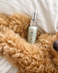 Frenky Lewis - Set Șampon + Balsam & Șampon Uscat – Ceai Verde & Bergamotă