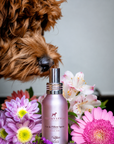 Frenky Lewis - Set Car & Pillow + Anti-Smell Spray – Lemn de Santal, Iasomie și Vanilie