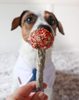 COOKA'S COOKIES - Lollipop cu cod și curcan - 35g