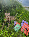 The Better Cat - Vită Monoprotein – Hrană Umedă 85g