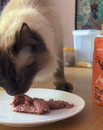 12 x The Better Cat - Pui Monoprotein – Hrană Umedă 85g