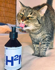 The Better Cat - H2Miau Booster de Hidratare - 250ml