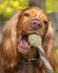 COOKA'S COOKIES - Lollipop cu cod și curcan - 35g
