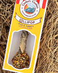 COOKA'S COOKIES - Lollipop cu cod și curcan - 35g