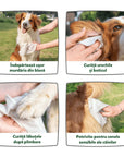 AniForte® - Șervețele de îngrijire cu Aloe Vera - 100 buc.