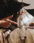 HotDog - Set Dog Spa: Șampon + Balsam + Cremă pentru Lăbuțe și Nas - imagine 4