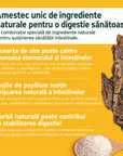 AniForte® - Slippery Elm Lichid - 30g