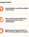 The Better Cat - Vită Monoprotein – Hrană Umedă 85g