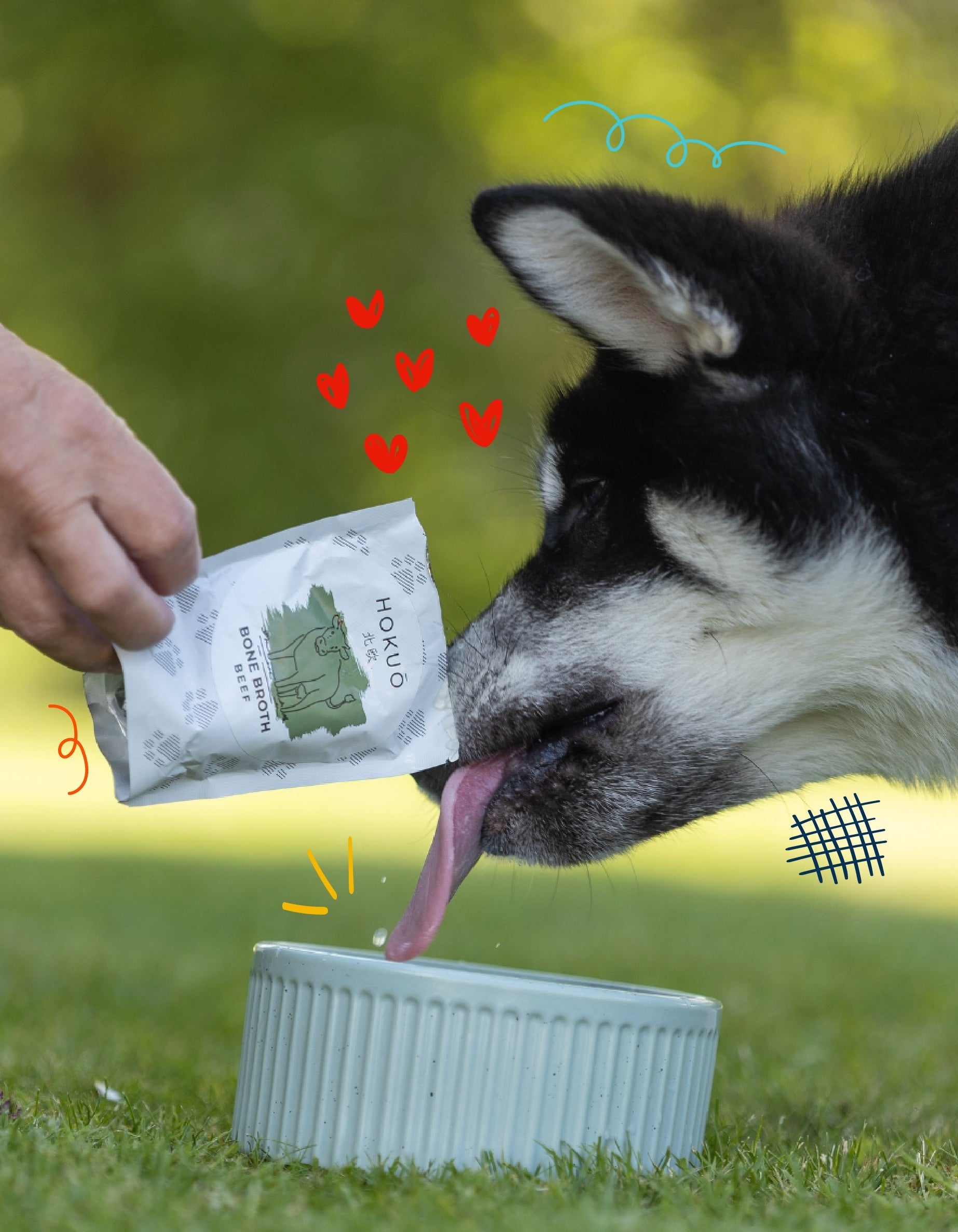 Supa de Oase pentru Câini: beneficii, utilizări și de ce să o incluzi în dieta prietenului tău blănos