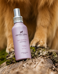 Frenky Lewis - Set Car & Pillow + Anti-Smell Spray – Lemn de Santal, Iasomie și Vanilie