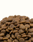 The Better Cat - Somon Proaspăt – Hrană uscată fără cereale