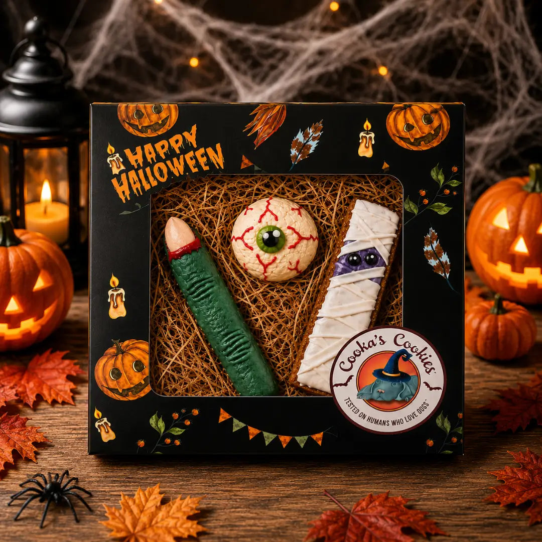 COOKA'S COOKIES - Cutia Boo de Halloween – 60g