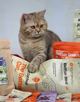 The Better Cat - Somon Proaspăt – Hrană uscată fără cereale