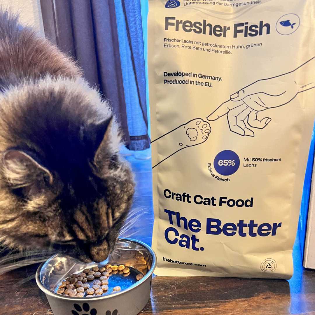 The Better Cat - Somon Proaspăt – Hrană uscată fără cereale