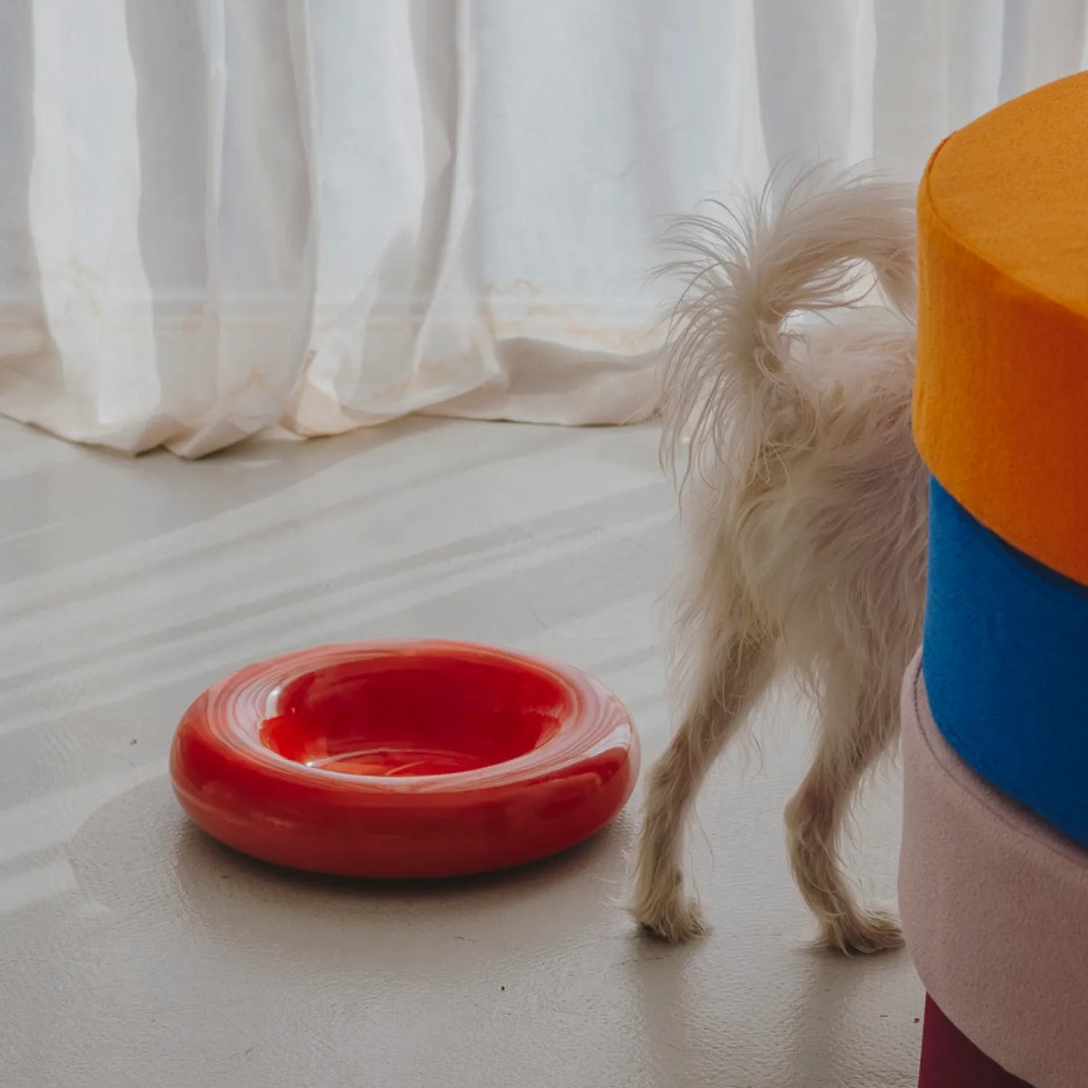 HotDog - Bol Roșu de Ceramică