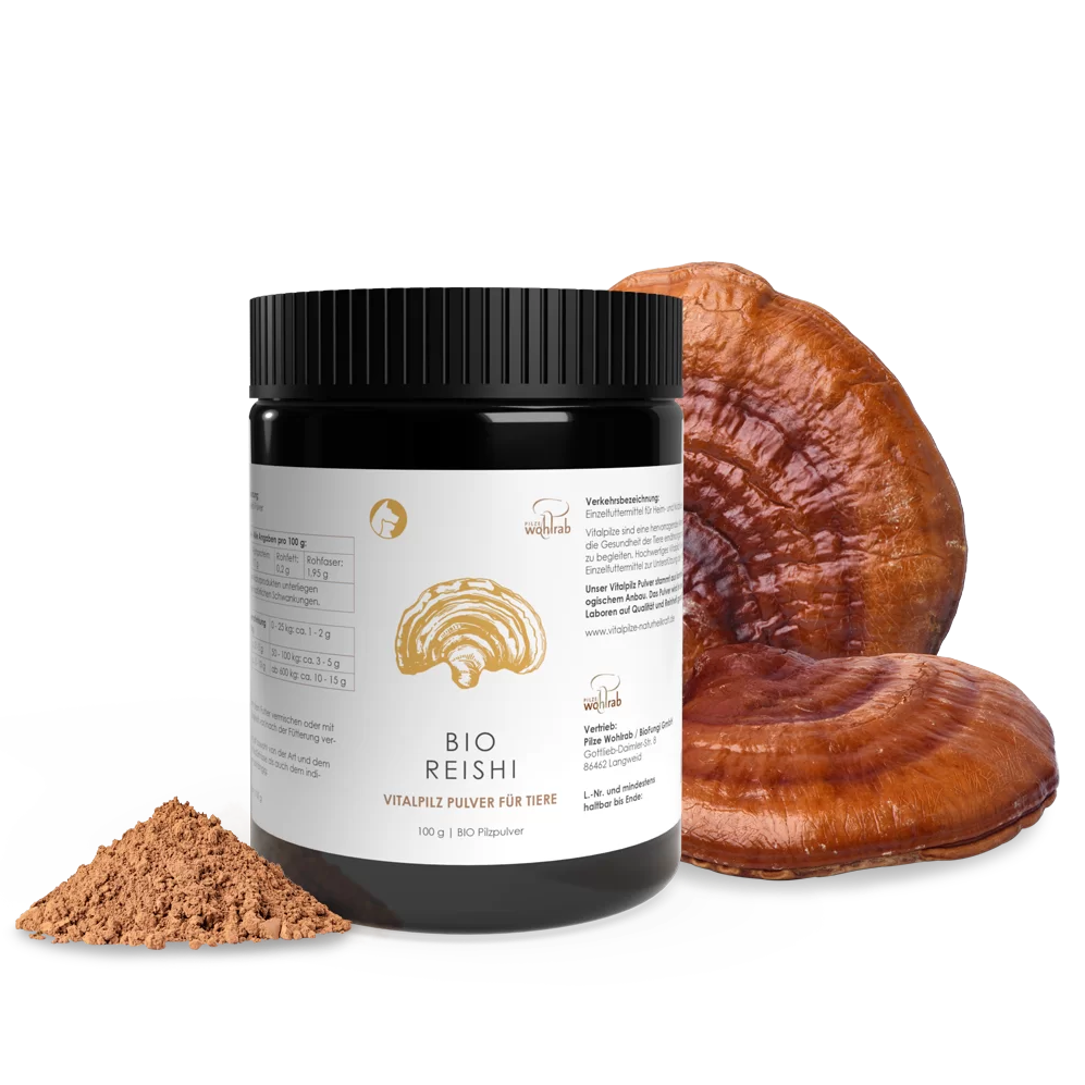 Reishi