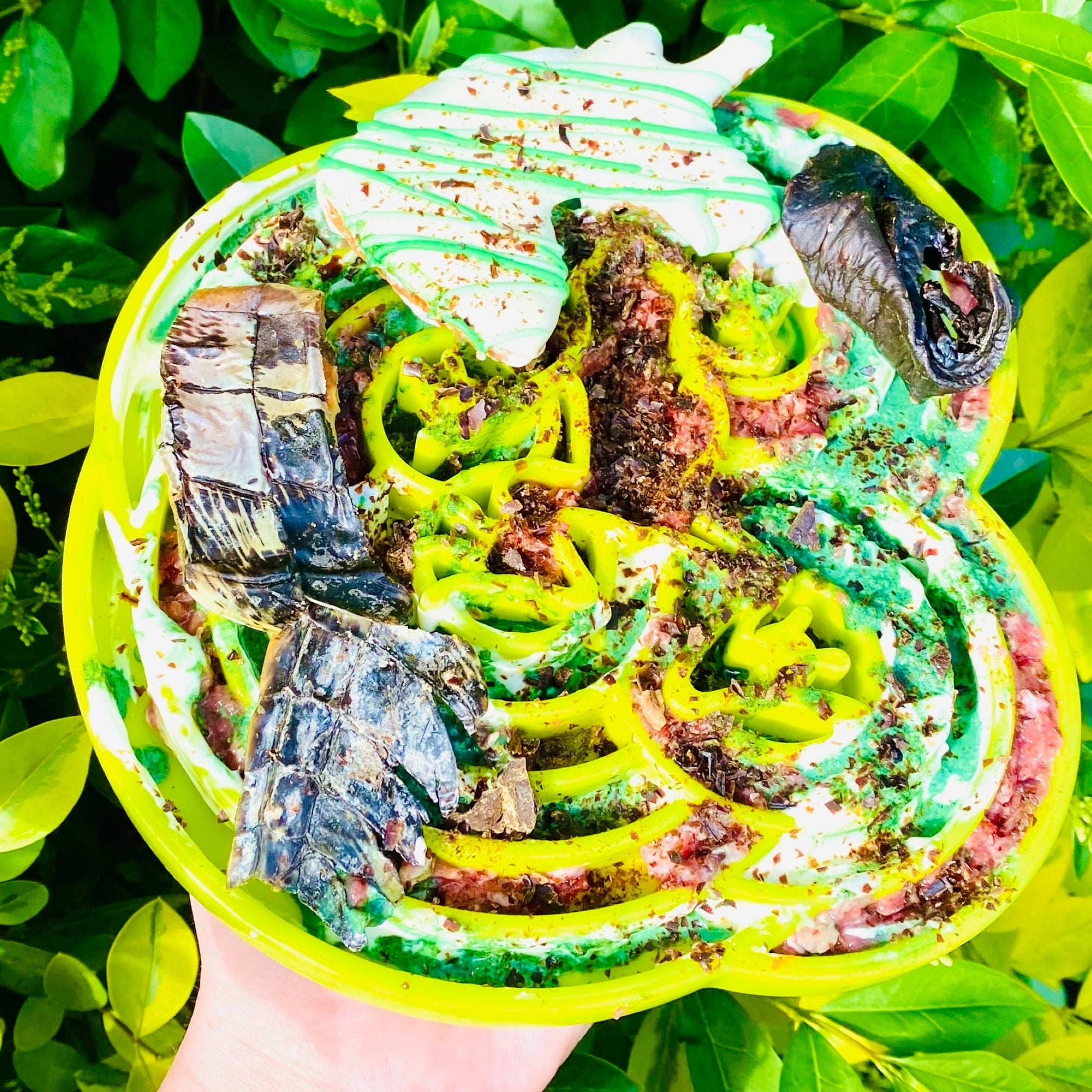 Lulu&#39;s Kitchen- Chipsuri din carne de Crocodil - 100g