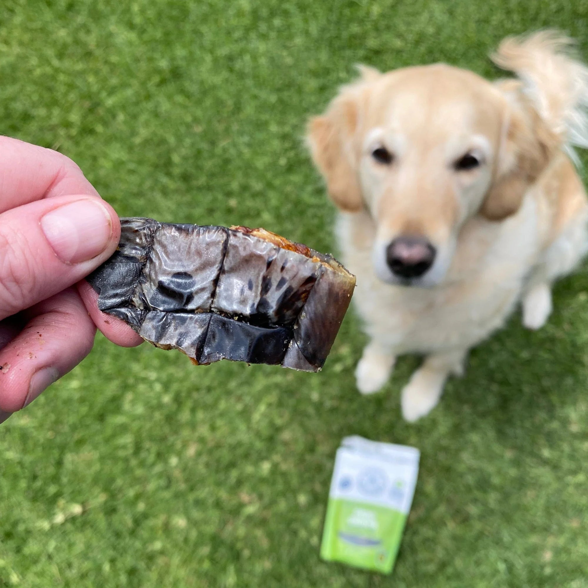 Lulu&#39;s Kitchen- Chipsuri din carne de Crocodil - 100g