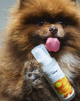 HotDog - Dog Mist Mid/Night 00.00 X Hotdog - imagine 5