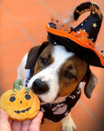 COOKA'S COOKIES - Cutia Boo de Halloween – 60g
