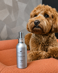 Frenky Lewis - Set Car & Pillow + Anti-Smell Spray – Trandafir Alb, Lavandă și Ylang-Ylang