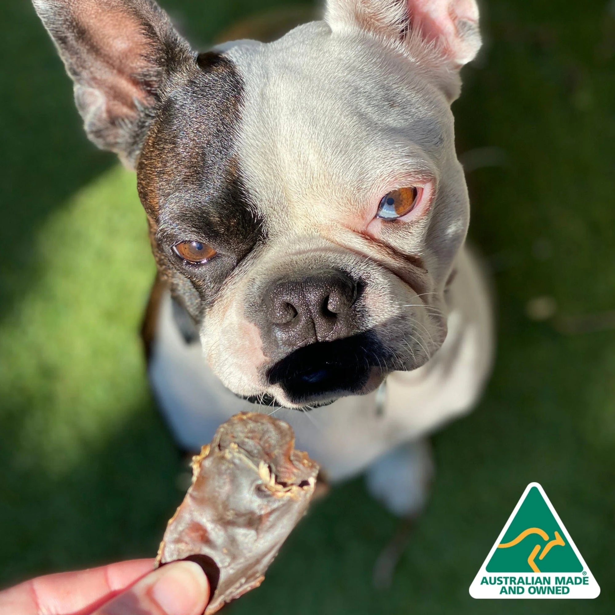 Lulu&#39;s Kitchen - Rinichi de Cangur - 100g