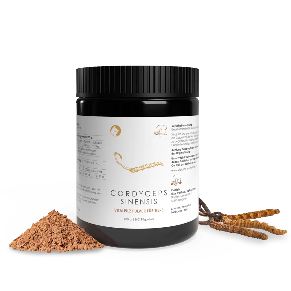 Cordyceps