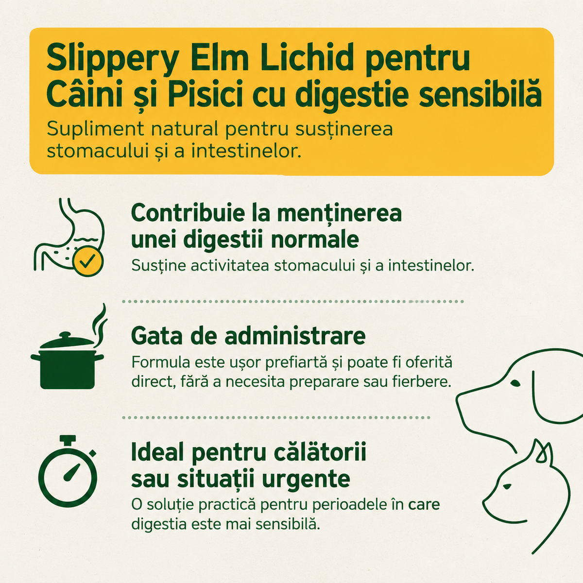 AniForte® - Slippery Elm Lichid - 30g